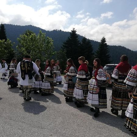 Ξενοδοχείο Μαγκιωση Neraïdochóri Bagian luar foto