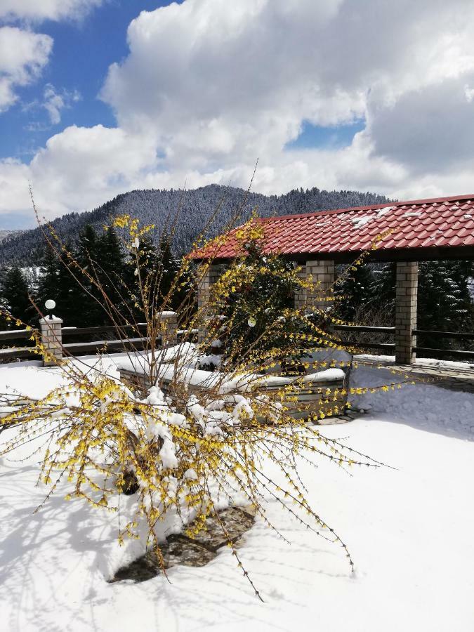 Ξενοδοχείο Μαγκιωση Neraïdochóri Bagian luar foto